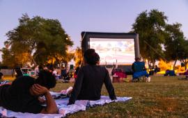 Movies in the Park