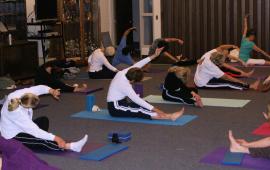 Adult Sports & Fitness