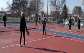 Adult Pickleball - Ladder League