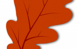 Leaf