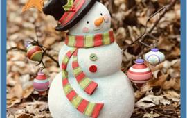Snow Buddy